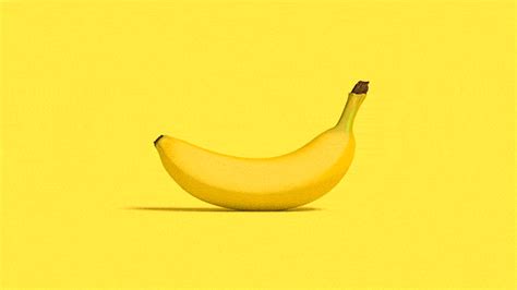 eating a banana gif|Bananas GIFs – 100 Best Animated Pics of Banana。